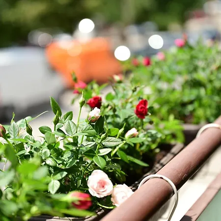 българия Apartment Weliko Tarnowo