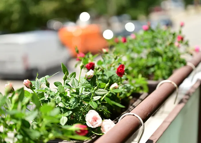 българия Апартаменты Велико-Тырново